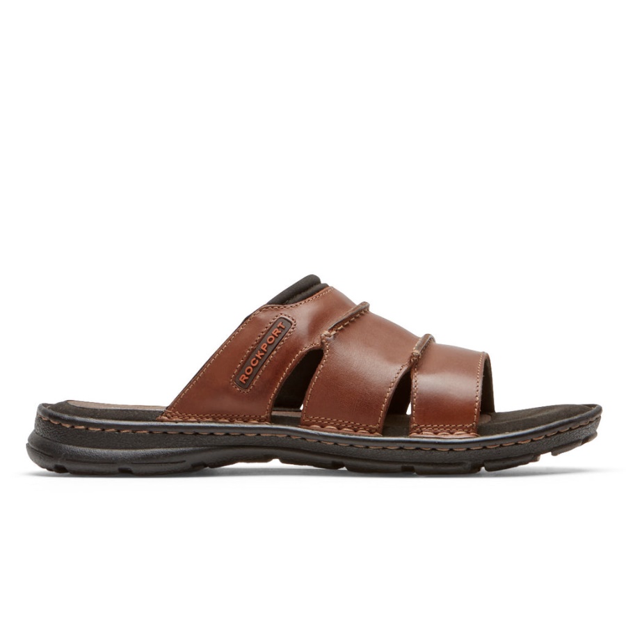 Rockport Darwyn Slide Sandal Coach Brun