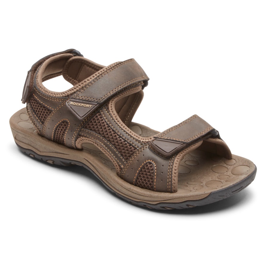Rockport Menn Hayes Kvart-rem Sandal Brun
