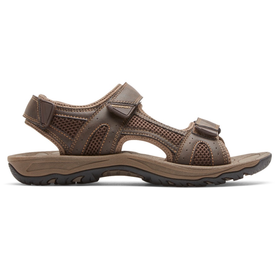 Rockport Menn Hayes Kvart-rem Sandal Brun