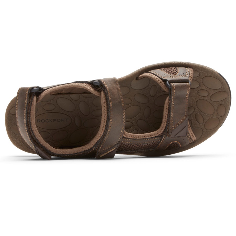 Rockport Menn Hayes Kvart-rem Sandal Brun