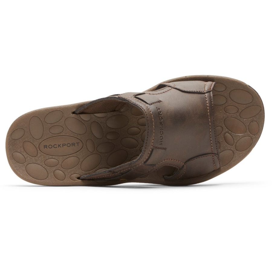 Rockport Menn Hayes Slide Sandal Brun